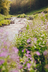 small mountain river