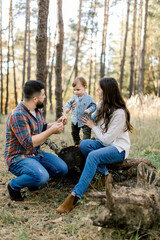 Small cute adorable baby boy, having fun while balancing on log tree, holding hands of his pretty attractive mother and handsome bearded father in autumn forest outdoor. Healthy nature family activity