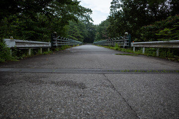 公園の中の舗装された道