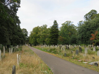 Brompton Cemetery, London
