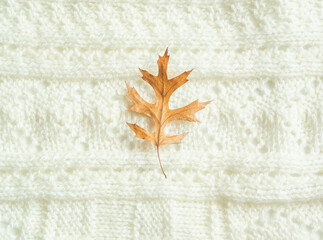 Autumn composition. Frame made of knitted plaid or scarf, fallen leave. Autumn, fall concept. Flat lay, top view, copy space.