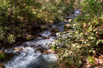 The bed  of the swift mountainous Hermon River with crystal clear waters in the Golan Heights in...