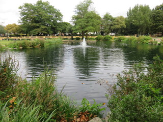 Bishops Park, Fulham