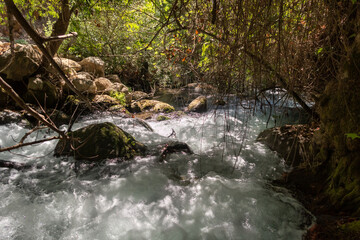 Fototapeta na wymiar The bed of the swift mountainous Hermon River with crystal clear waters in the Golan Heights in northern Israel