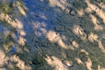Play of shadows and rays of light in a shallow transparent reservoir with a rocky bottom, overgrown with algae