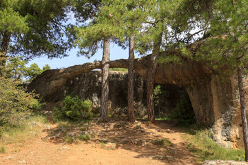 Obraz premium A natural rock arch, seemingly leaning against pine trees, in the enchanted city (Ciudad Encantada), Cuenca province, Spain 