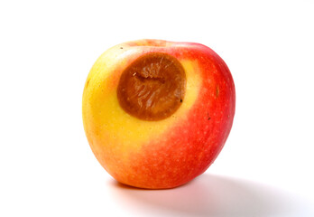 side view rotten apple on a white background