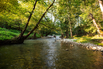 Professional fisherman fly fishing at sunrise on a mountain river.