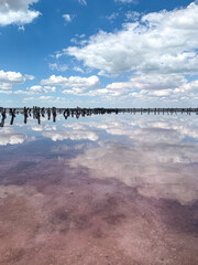 Fototapeta premium Beautiful water in pink salt lake reflects clouds and sky