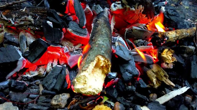 Shooting a fire in the forest.