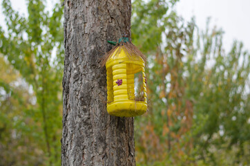 Yellow birdhouse from a plastic bottle on a tree against the background of autumn trees