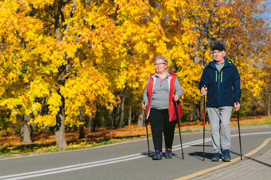 Pretty senior couple standing with nordic walking poles in colorful autumn park. Mature woman and old sportman resting outdoors.