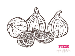 Fresh figs hand drawn vector illustration. Exotic whole, sliced and chopped in half fruits in pile line art. Organic snack outline drawing. Delicious fig with seeds inside black and white sketch