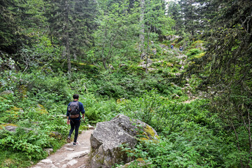 Fototapeta premium Young man with backpack walking on a hilly path surrounded by green nature 