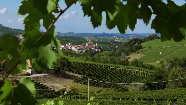 Barolo village in frame of vine leaves among the hills of Nebbiolo grape vineyards in Langhe country, Piedmont, Italy