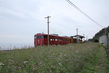 愛媛県を走る観光列車　伊予灘ものがたり