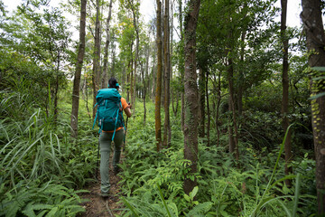 Woman backpacker hiking in summer sunrise forest mountain