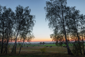 Fototapeta na wymiar field with green grass against the sunset sky.