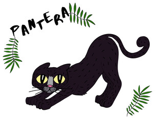 Pantera.Cute pantera vector illustration. Hand drawn cute print for posters, cards, t-shirts. Hand drawn illustration © Yauheniya Makarevich