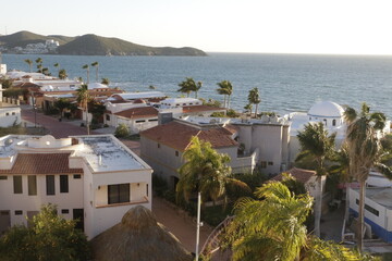 Fototapeta premium Sonora