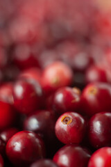 The cranberries. Small forest red berry. A scattering of cranberries. Vitamins from nature. Macro photo. Selective focus.