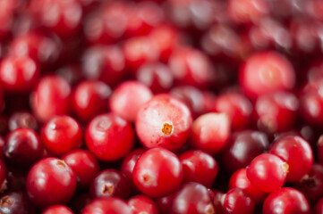 Cranberry. Small forest red berry. A scattering of cranberries. Vitamins from nature