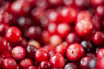 Cranberry. Small forest red berry. A scattering of cranberries. Vitamins from nature