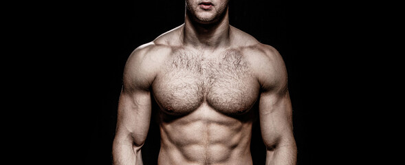 Torso six packs attractive. six pack abs. Strong man with torso. Sexy muscular man. Sensual mans...