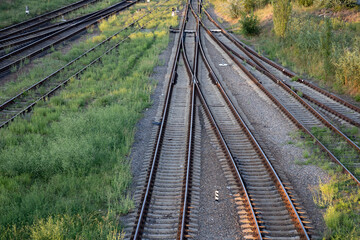 Summer railway tracks overgrown with green grass. Way out.