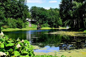 A view of a small wooden decorative platform or patio located next to the coast of a small river or lake covered entirely with moss and other water specific flora seen on a sunny summer day in Poland