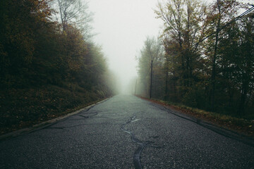 route dans le brouillard
