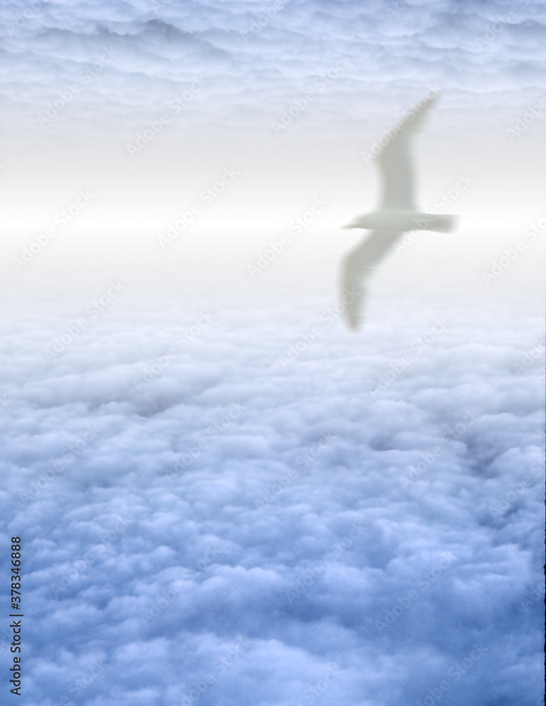 Poster white bird in clouds. 3d rendering