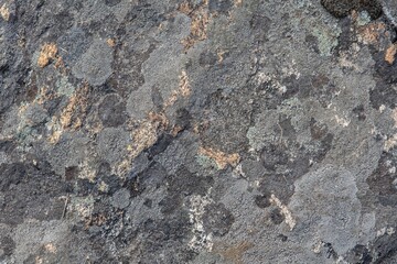 background and texture of stone surface with moss and lichens