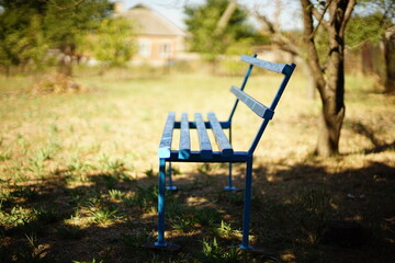 Blue wooden bench in sunny summer garden