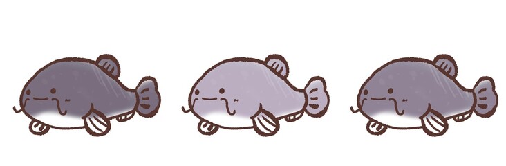 R:もっとメルヘンな水族館 ナマズ