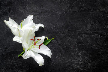 Lily funeral flower on dark stone. Condolence card with copy space