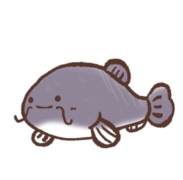 ナマズ Images Browse 324 Stock Photos Vectors And Video Adobe Stock