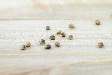 close up of Heap of Hemp Seeds on wooden table. macro view of hemp seed. Hemp seeds are rich in healthy fats and essential fatty acids