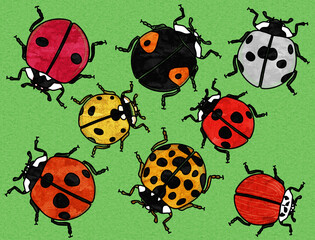 Set of bright different ladybugs on a green background. Watercolor drawing