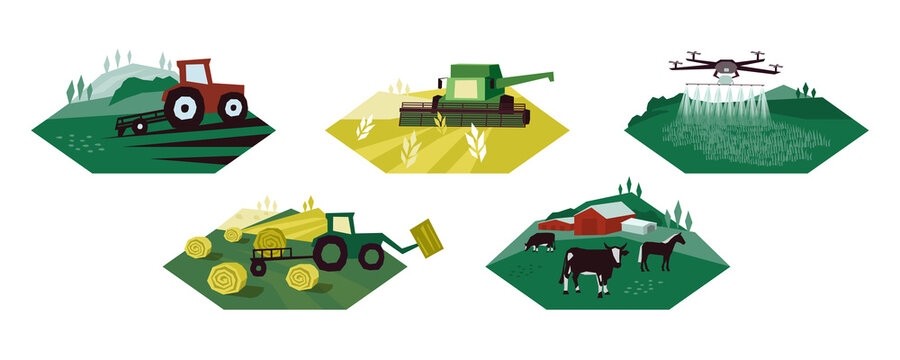 Set of agriculture activity illustrations. Icons of irrigation tractor, farm animals, combine harvester, drone. Vector for farming livestock, dairy industry. Cultivated and plowed land, cow, hay field