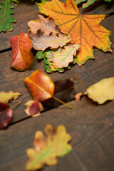 autumn still life in rustic style as a background - leaves on a wooden boards