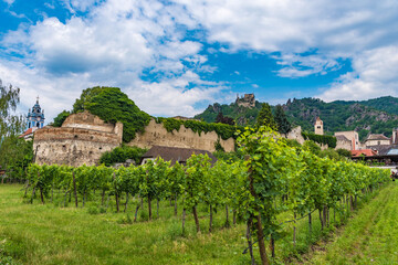 Weingarten in Dürnstein an der Donau in der Wachau