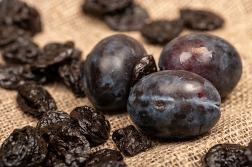 Juicy black plums and dried prunes on a homespun cloth with a rough texture. Close up. Autumn harvest.