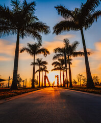 sunrise in the park beach palms sun tree florida miami 