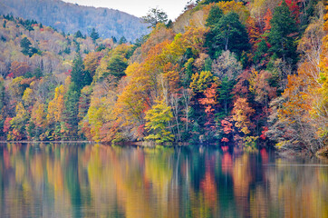 紅葉する美しい湖畔