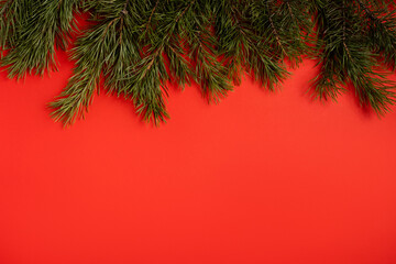 Christmas fir branches with copy space on red background