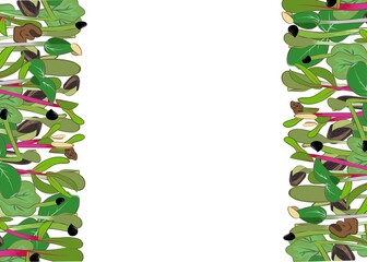 Sprouts. Diet and vitamins.