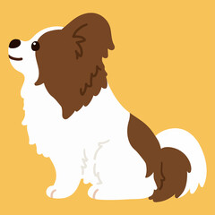 Flat colored brown and white Papillon sitting in side view