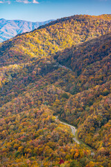 Great Smoky Mountains National Park, Tennessee, USA at the Newfound Pass