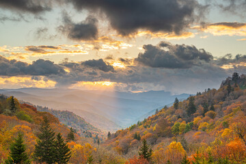 Great Smoky Mountains National Park, Tennessee, USA at the Newfound Pass